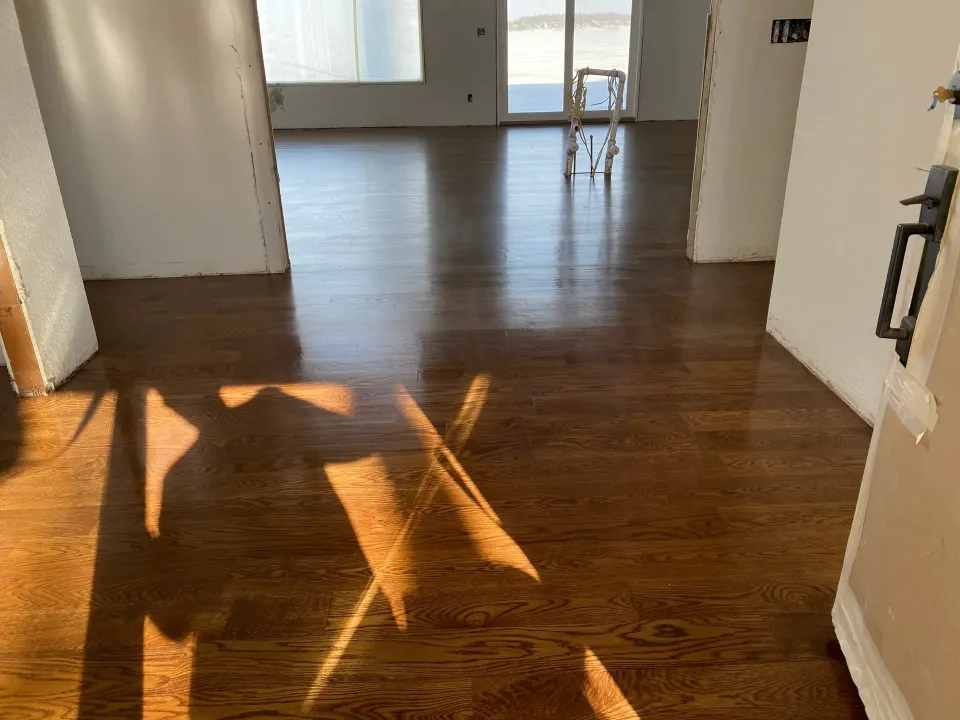 Dark stained oak floor with a glossy finish in a sunlit room, light falling across the boards from a side window.