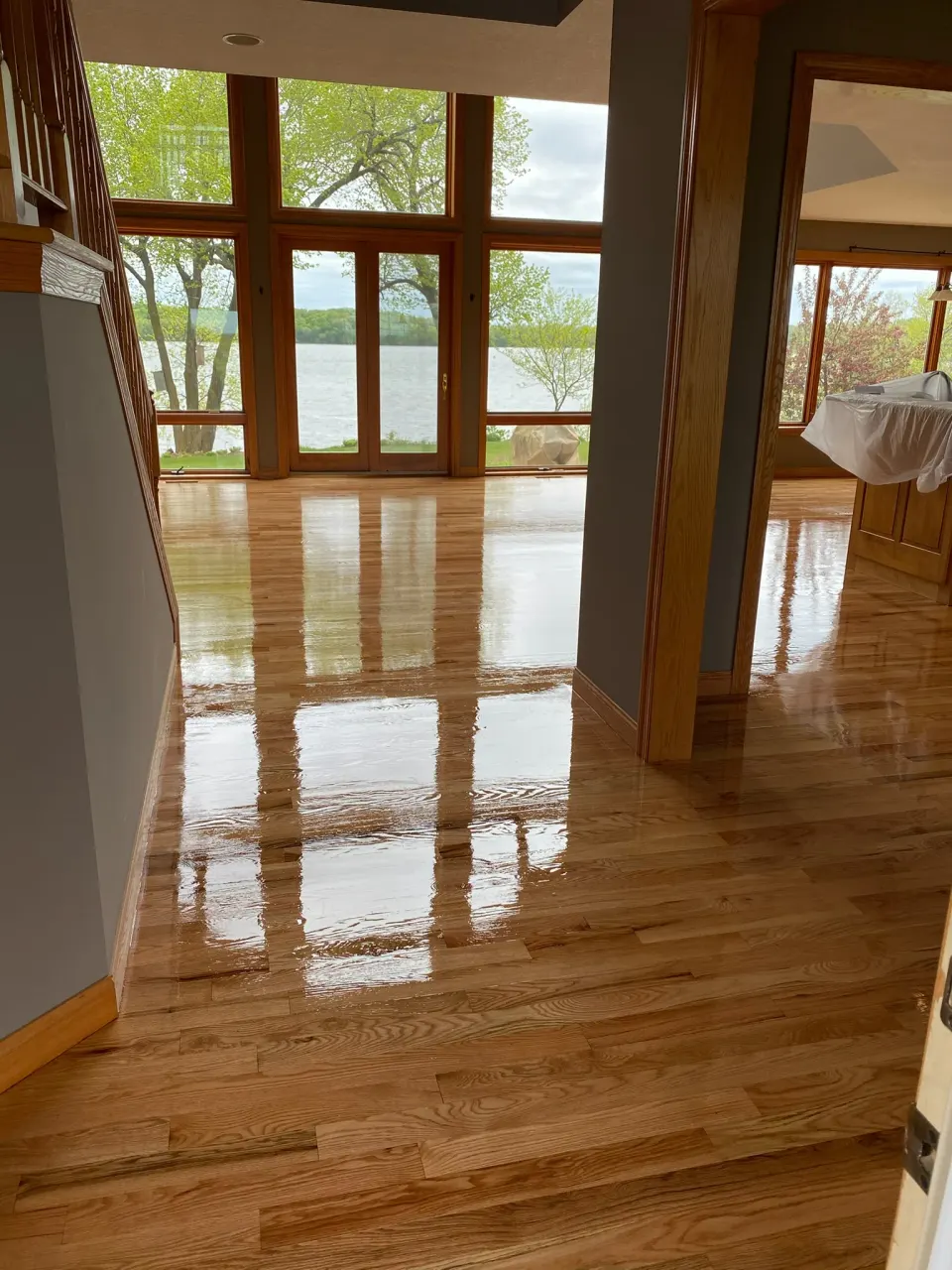 Refinished oak floor with a glossy finish in an entryway, with daylight coming through the door and windows.